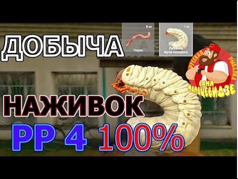 Сколько голд наживки копается за 100 раз?