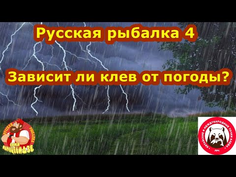 Зависит ли клев от погоды в Русской рыбалке 4?