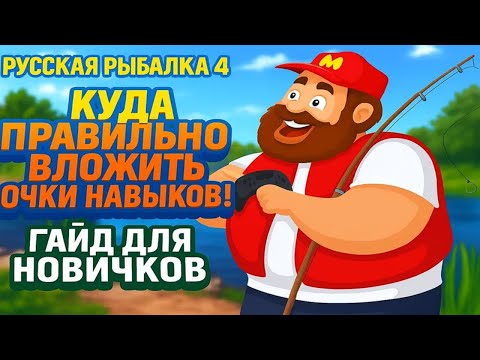 Куда правильно вложить очки навыков • Гайд для новичков