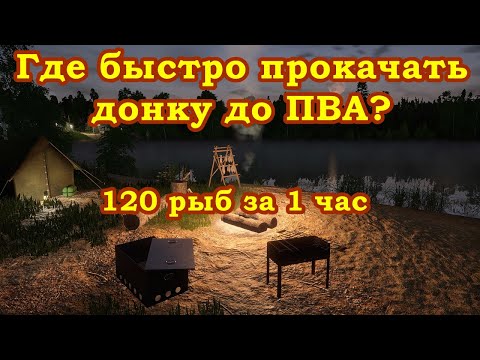 Где быстро прокачать донку до 100%, до ПВА. Лучшее место на данный момент