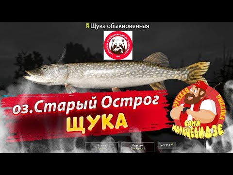  Ловля Щуки на Старом Остроге на воблер